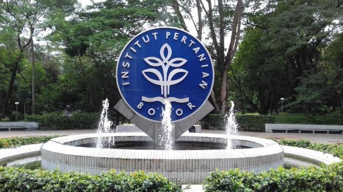 ipb