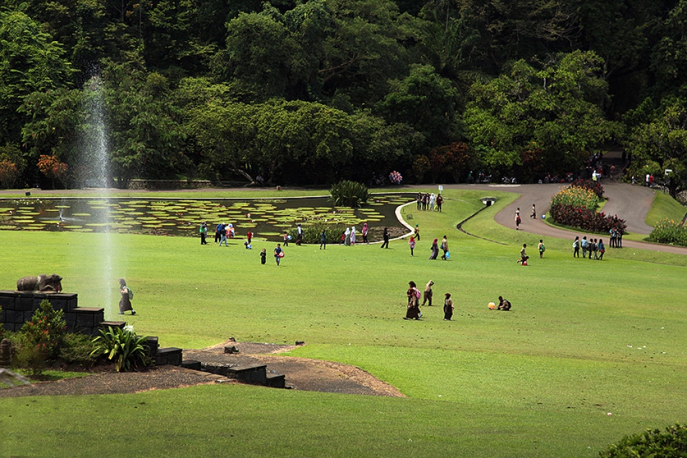 Kebun Raya Bogor Tempat Wisata di Bogor - Kebun Raya Bogor