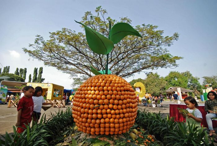 Taman Wisata Mekarsari Tempat Wisata di Bogor - Taman Wisata Mekarsari