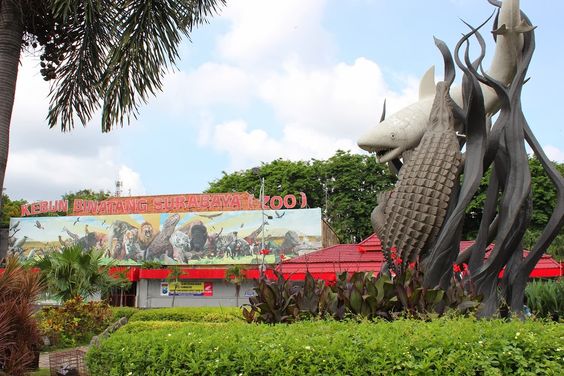 kebun binatang surabaya
