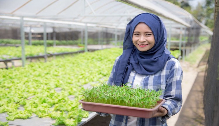 Jurusan agroteknologi terbaik di indonesia