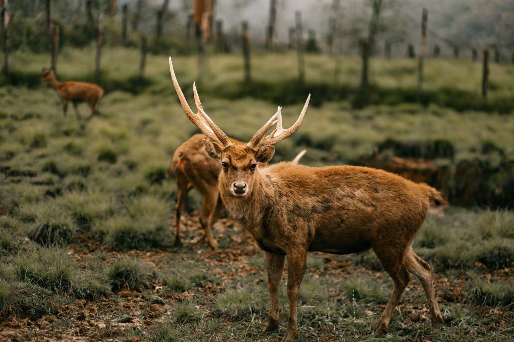 18 Spot Wisata Pangalengan Bandung Wajib Dikunjungi