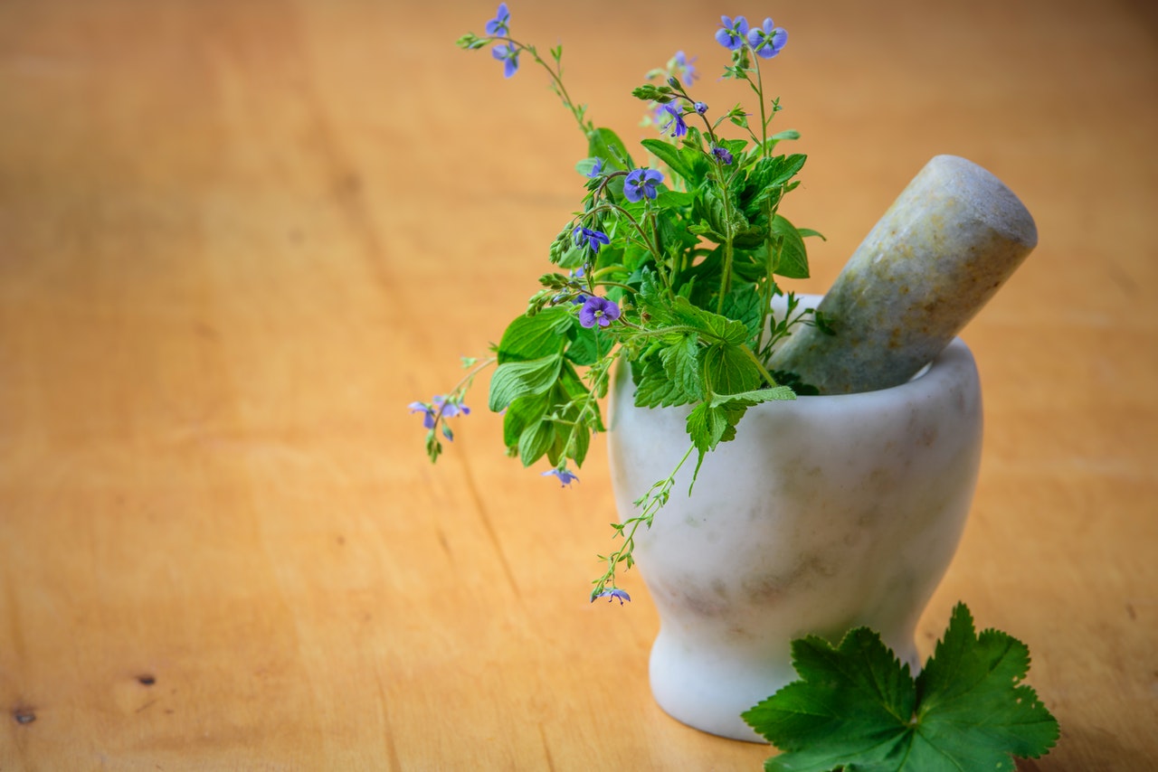 60 Jenis Tanaman Herbal Obat Alami Keluarga Toga Mamikos Info