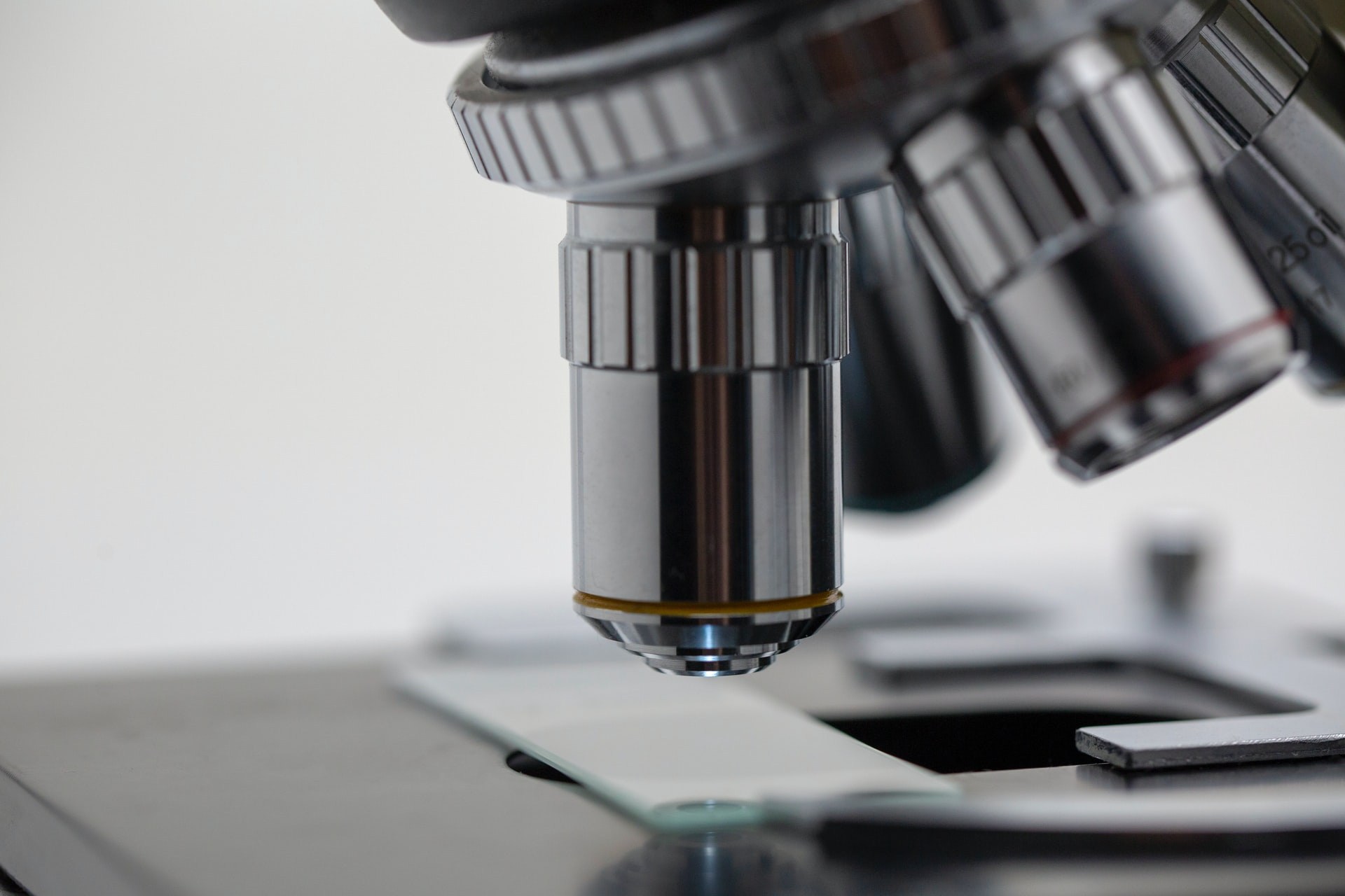 jurusan kuliah yang berhubungan dengan biologi